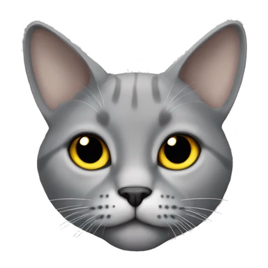 a lop-eared grey cat with a white breast and yellow eyes sticker