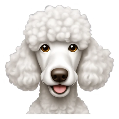 white standard poodle with brown nose  sticker