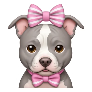 Fully Gray Pitbull with a white stripe on his head and a pink bow sticker