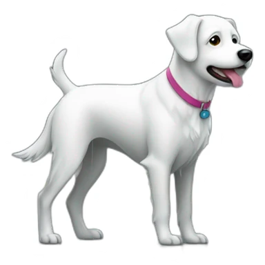 white dog walker in a rain sticker