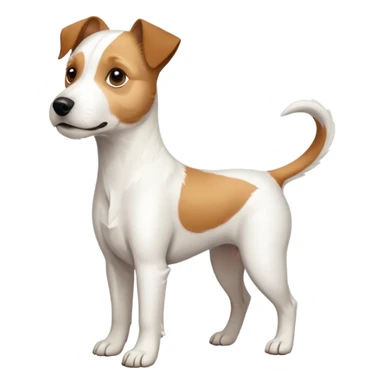 a full body white parson russell looking dog the size of a kelpie with light brown ears and a light brown patch on one eye and a large snout sticker