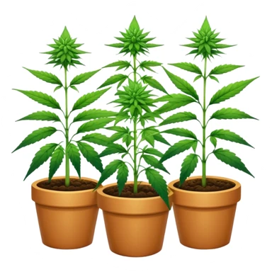 plantas vs maconha sticker