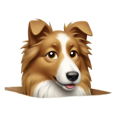 Shetland sheepdog in closed box sticker