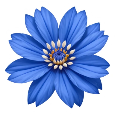 cornflower sticker