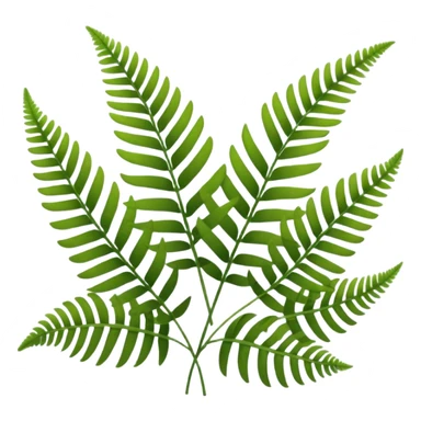 lush green fern fronds, natural plant sticker