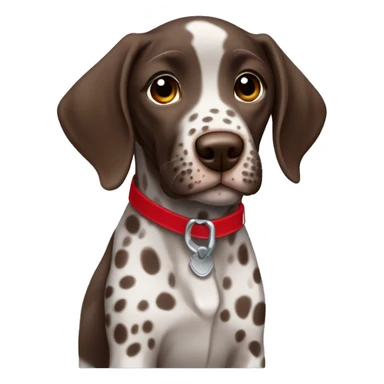 Brown spotted German short haired pointer puppy with ticking with red collar  sticker