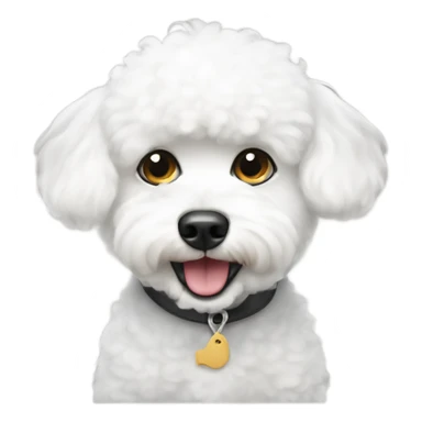 Small white bichon begging for food  sticker