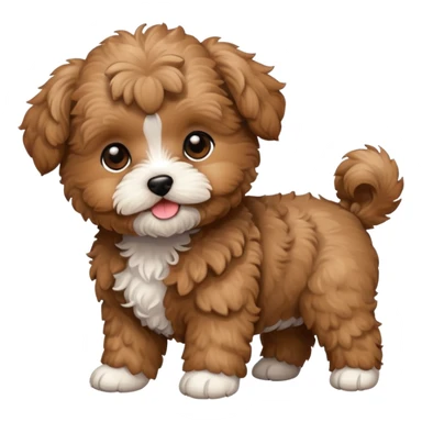 maltipoo brown puppy  sticker