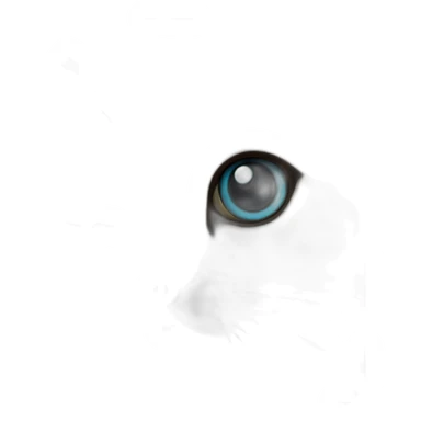 seal point ragdoll cat sticker