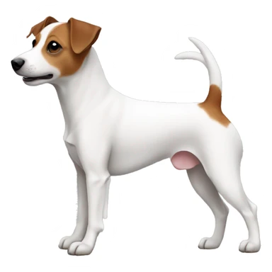 Jackrussell body side sticker