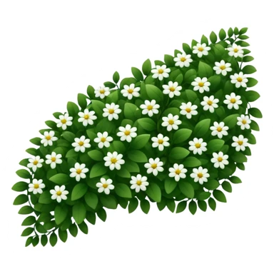 A dense bush with dark leaves and a curved organic shape with small white flower sticker