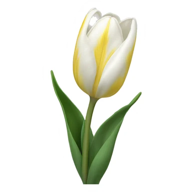 Flores de tulipán blancos  sticker