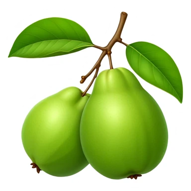 A green guava with a leaf attached sticker