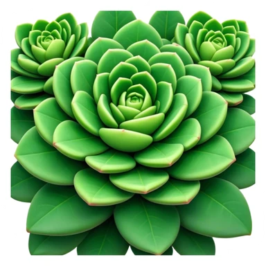 Cinematic Realistic Crassula Emoji, Compact and vibrant, with small, fleshy leaves arranged in thick, rounded clusters. The deep green hue of the leaves radiates calm, while their structured growth speaks of endurance. Soft glowing outline, capturing the essence of perseverance and tranquility in a crassula plant! sticker