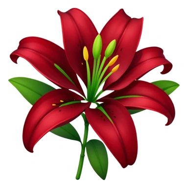 A lily flower in a dark cherry red colour with a stem sticker