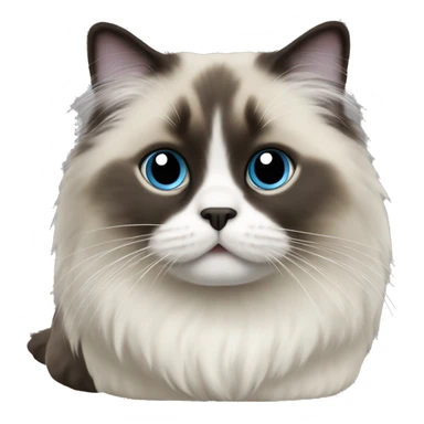 Sealpoint ragdoll sticker