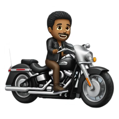 Biker on a Harley Davidson sticker