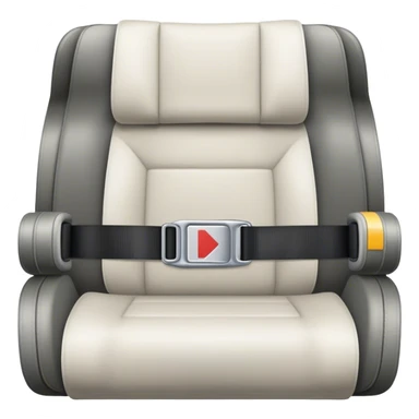 plane seat belt sticker