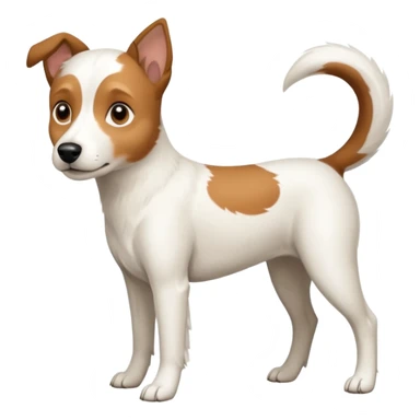a full body white parson russell looking dog the size of a kelpie with light brown ears and a light brown patch on one eye and a large snout sticker