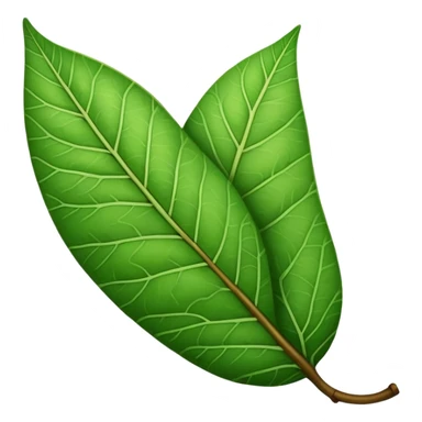A guava leaf sticker