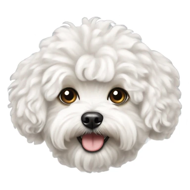 White curly maltipoo bigger hair sticker