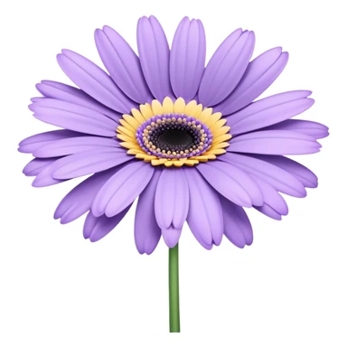 single Lavender Gerbera Daisy, straight stem sticker