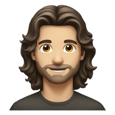 dark brown mid long hair beautiful white man sticker