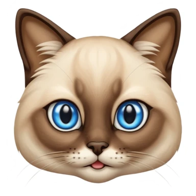 
Siamese cat face long hair sticker