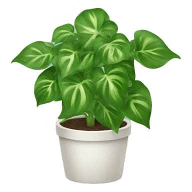 pothos plant sticker