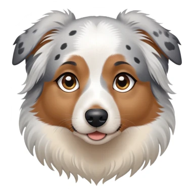 A mini Australian shepherd with white hair and black spots over her eyes. One eye is light blue, and the other is brown sticker