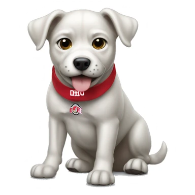 Dog with Ohio state  sticker
