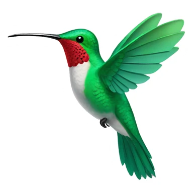 Humming bird sticker