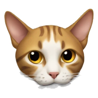 cat buried in paperwork sticker