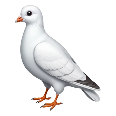 white pigeon sticker