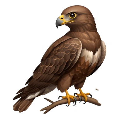 Common Buzzard sticker