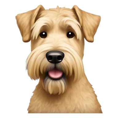Wheaten terrier with standard breed show cut sticker