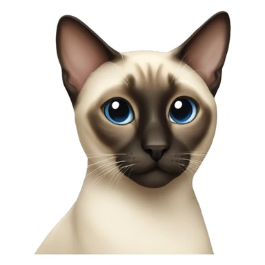 a siamese cat sticker