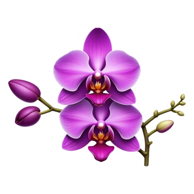 Purple Orchid sticker