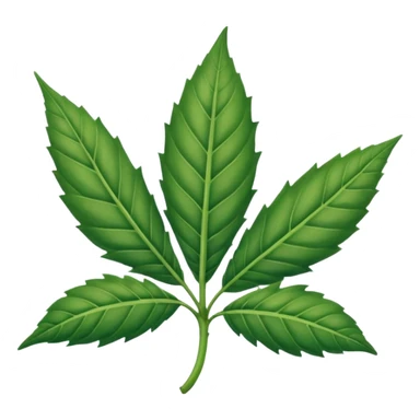 Hoja de mariguana Hoja de mariguana sticker