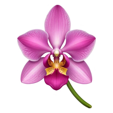 green and pink orchid sticker