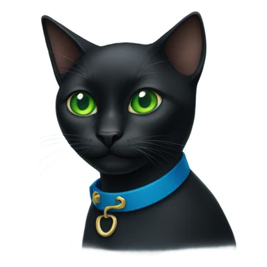 black cat with green eyes wearing a blue collar sticker