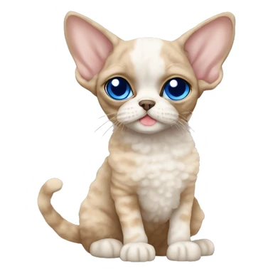 Beige curly fur Devon Rex Cat with blue eyes sitting next to a beige shih tzu   sticker