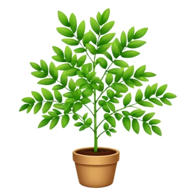Rue plant sticker