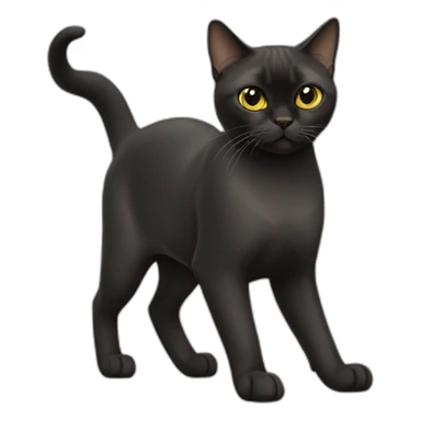Black Burmese Cat Full Body sticker