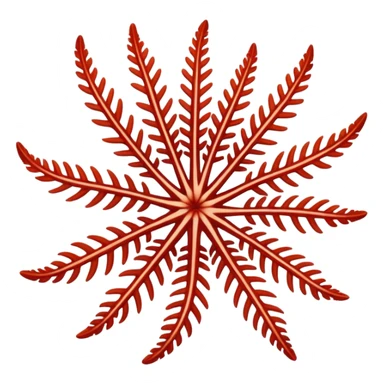 feather star sticker