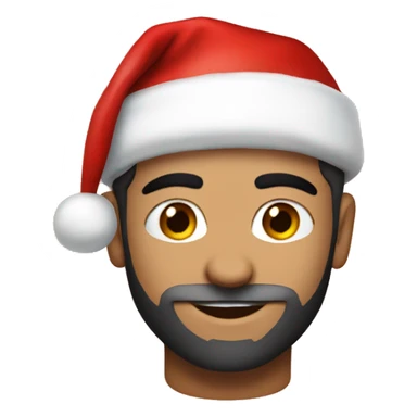 zayn with santa hat sticker