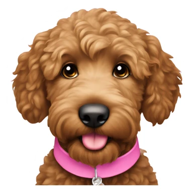 Mini medium brown female golden doodle pink collar sticker