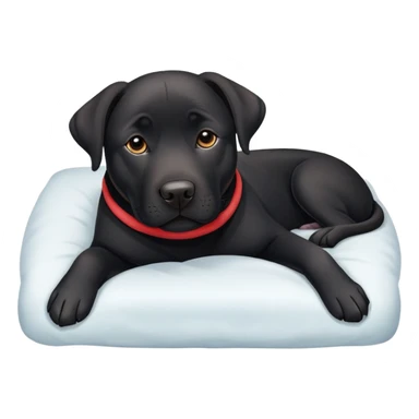 Tugging black lab/amstaff dog into bed sticker