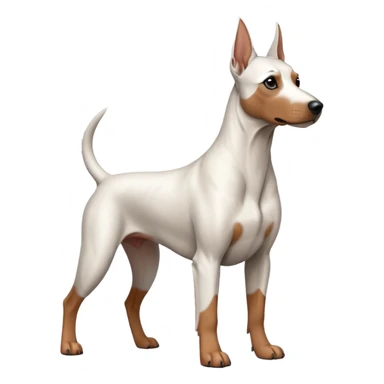 white doberman Y3 sticker