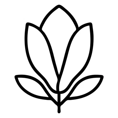 minimalist top-down view of a magnolia flower bud with a mix of white and pink petals, fully visible against a plain white background, no extra details sticker